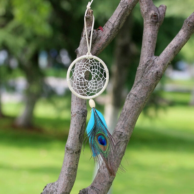 Fødselsdrømmefanger