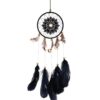 Indisk drømmefanger med svart fjær